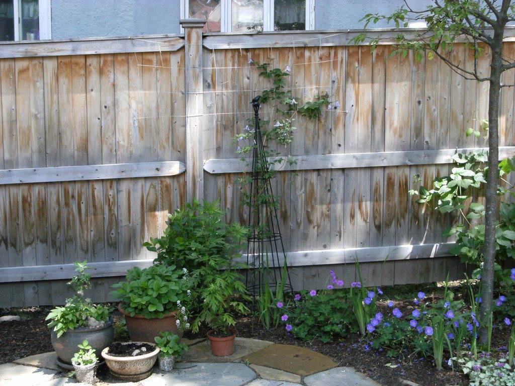Do It Yourself Trellis