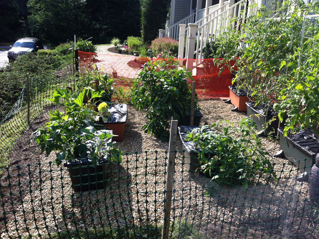 Front Yard Vegetable Garden