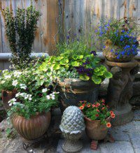 Container Garden Design & Installation – Terrascapes