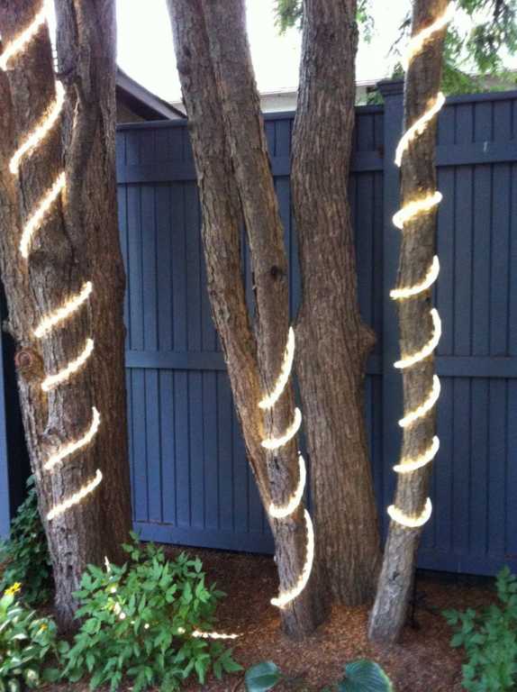 External Tube Lighting on Trees