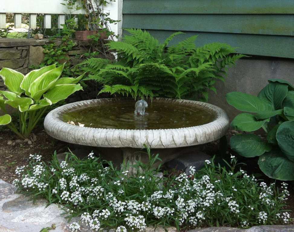 Classical Fountain and Birdbath
