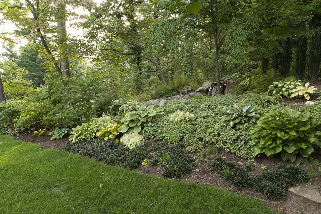 Slope After Planting