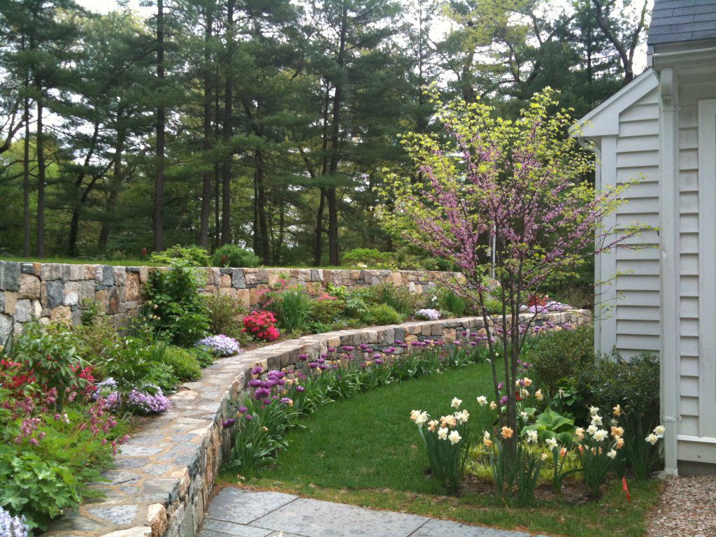 Terrace Wall Late Spring