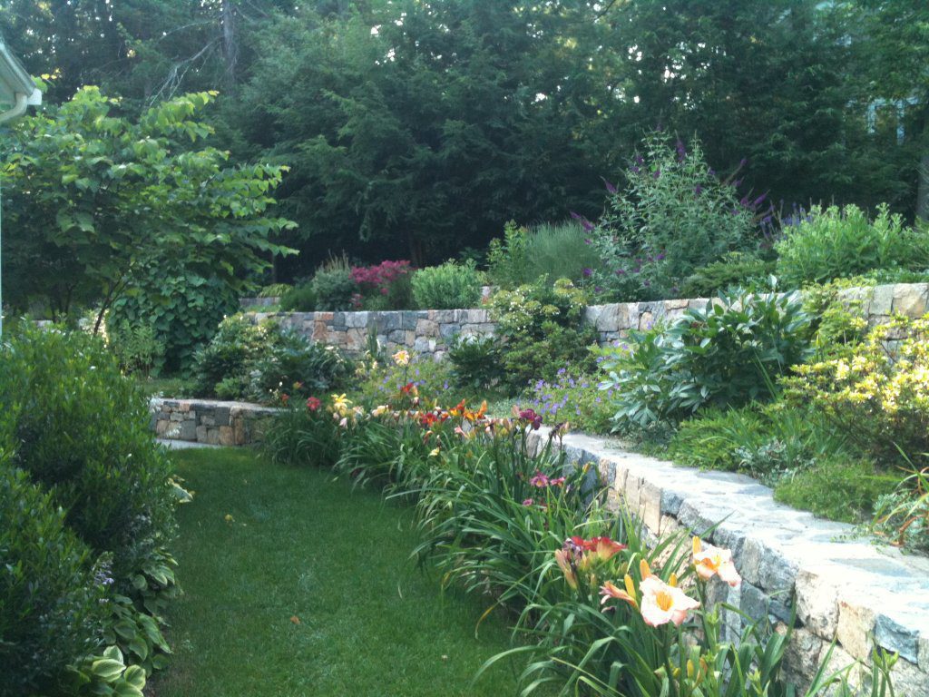 Three Season Lawn Path (Summer Daylillies)