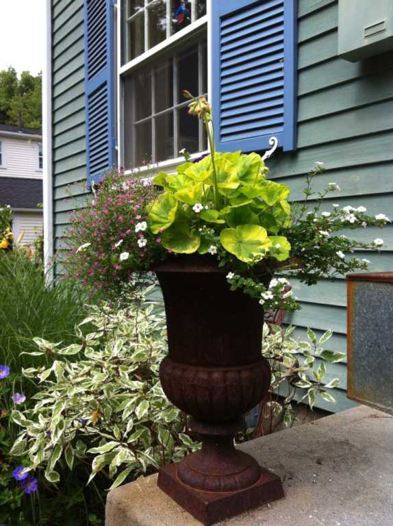 Urns on the Stoop