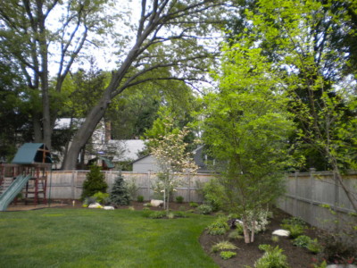 Needham backyard after landscapng