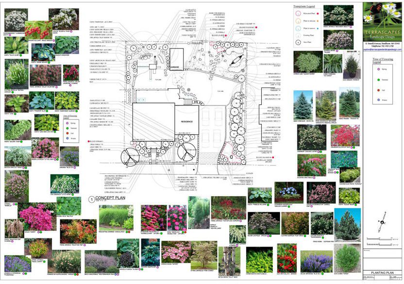 Landscape Design residence planting plan